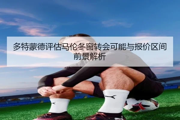 多特蒙德评估马伦冬窗转会可能与报价区间前景解析