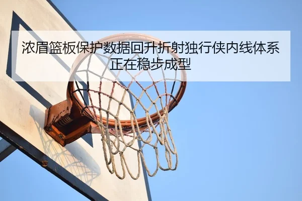 浓眉篮板保护数据回升折射独行侠内线体系正在稳步成型
